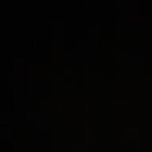 Meet your Posher, Ida